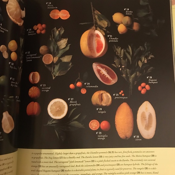 Christmas with Martha Stewart Living Classic Crafts and Recipes book - Picture 8 of 14